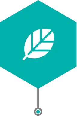 Leaf icon
